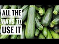 ZUCCHINI EVERYTHING | It's Not Just For Bread!