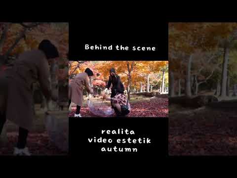 Video: Apa yang harus dilakukan dengan hosta di musim gugur?