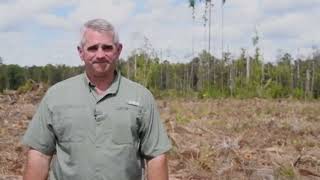 Primex Tires and Sustainable Logging