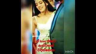 ශනූ දින්නට පට්ට love නේදtrendingshorts reelsshortreelsviraltrendingshortsshanuofficial