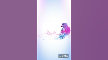 Full Screen Intro Video #intro #end #2022 #latest