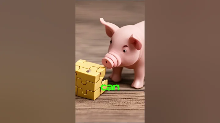 5 Fun Facts about Pigs you didn't know