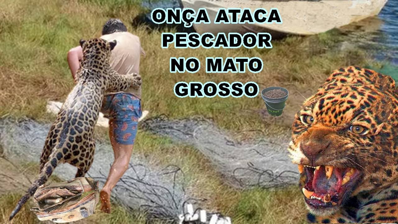 Homem Atacado Por On A No Mato Grosso Revela Que Vi Va Pode Ficar