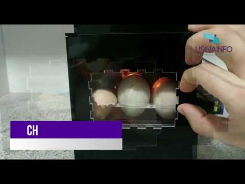 Chocadeira Arduino EGG - Projeto de Automação para Incubadora de Ovos