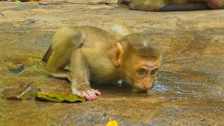 Adorable Rina Enjoys with water after Raining drop by her mother care