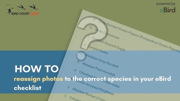 How to Reassign Photos to the Correct Species in Your eBird Checklist