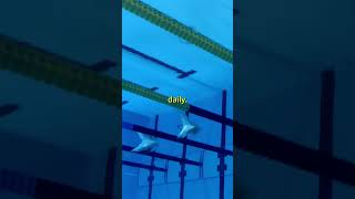 How Long Do Different Athletes Train?