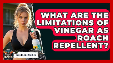 What Are The Limitations Of Vinegar As Roach Repellent? - Insects and Invaders