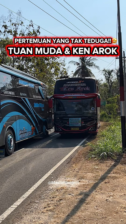 Tuan Muda VS Ken Arok Bertemu Perang Telolet😱 Telolet Basuri Viral #shorts #basuri #busmania