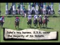 How to Back EVERY HORSE IN A RACE for Profit - YouTube