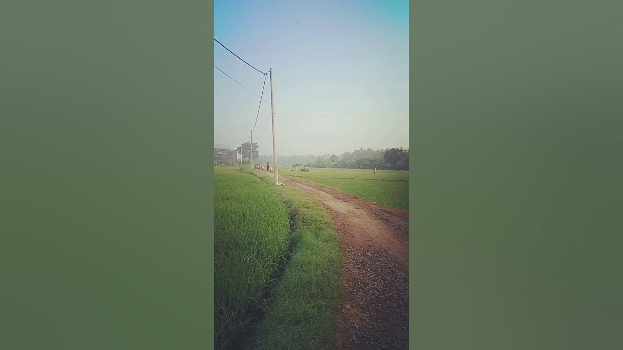 Ceramah Ke 75 Tentang Khiyar Syarat Dan Khiyar Aibi YouTube ceramah-ke-75-tentang-khiyar-syarat-dan-khiyar-aibi-youtube