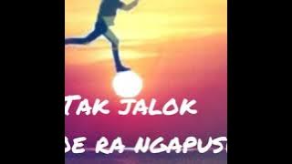 Story' wa demi koe /demi koe full album