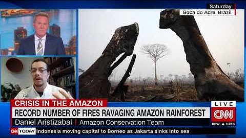 CNN: Effects of Forest Fires in the Amazon with Daniel Aristizabal | Amazon Conservation Team
