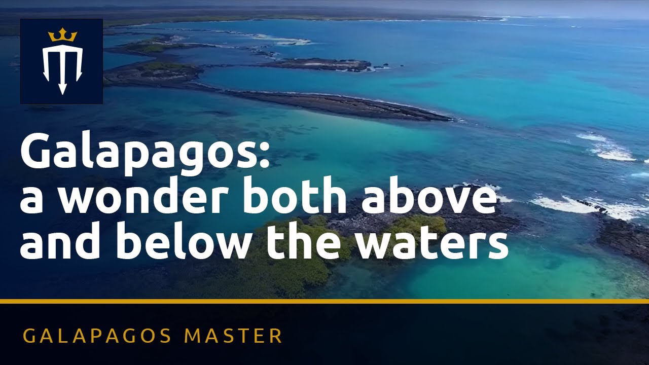 Galapagos: a wonder both above and below the waters