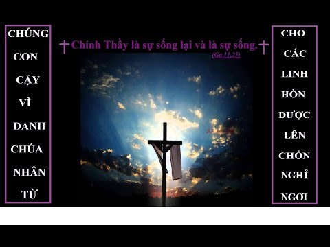 Video THÁNH CA CÔNG GIÁO I Không lời - Sâu lắng - Xúc động - youtube