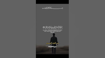 آيات من سورة القيامة { يقول الإنسان يومئذ أين المفر } [ عبدالعزيز العسيري ]