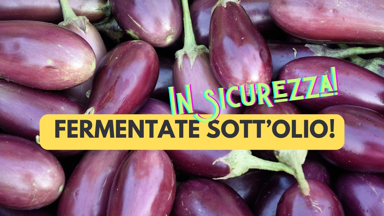 Conserve di melanzane sott'olio fermentate: due ricette! 