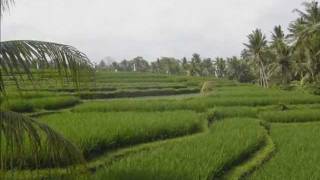 Download lagu Bali & Nusa Lembogan