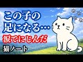 【この子の足になる】虹の橋を渡った母猫との約束