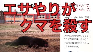 True story] Feeding the bear kills the bear. A brown bear ate