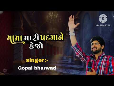 gopal Bharvad new song insta trending mama mari padmane kejo jaja kari de jo ....2025
