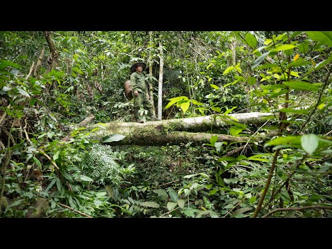 Wandering in the Wilderness, Fishing, Cooking Outdoors | EP.519