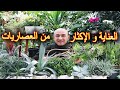 العناية الكاملة بالعصاريات و طرق الاكثار منها