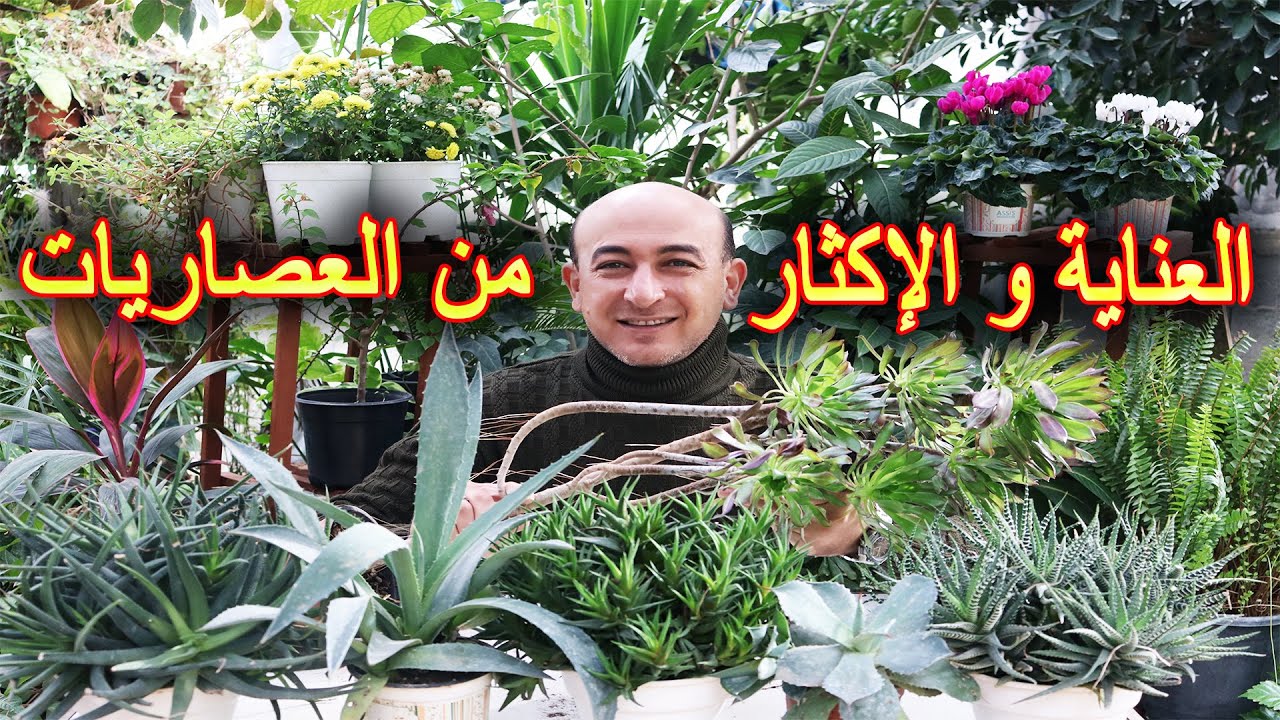 العناية الكاملة بالعصاريات و طرق الاكثار منها