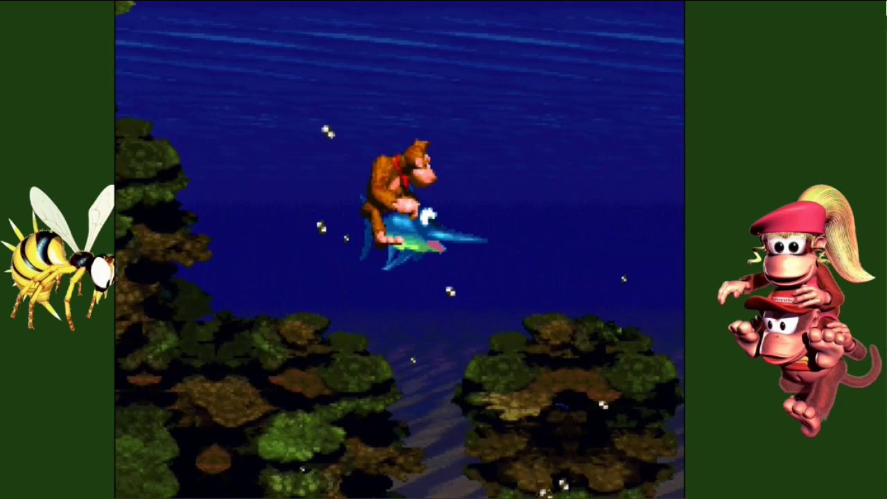 Donkey kong country O peixe espada !!! YouTube