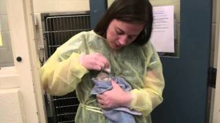 Washington County's animal shelter: find homes for the perfect imperfect pet