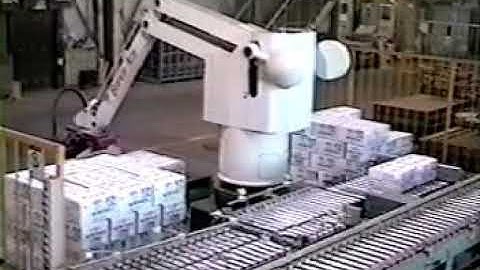 Odd Shaped Bag Fuji Ace Robotic Palletizer | FUJI ROBOTICS INDIA | #roboticpalletizer #fujirobotics