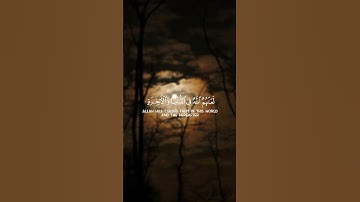 سورة الأحزاب #قران_كريم #quran #قرآن#islamic #short#islamicvideo