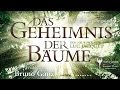 DAS GEHEIMNIS DER BÄUME - Trailer Deutsch - WINNER Cosmic Angel Award 2014 Jury- Publikumspreis