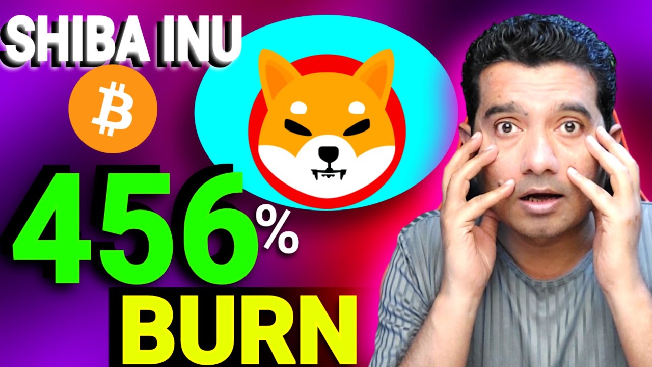 Shiba Inu Coin 456 Per Cent BURN🔥 BTC BULL RUN PRICE