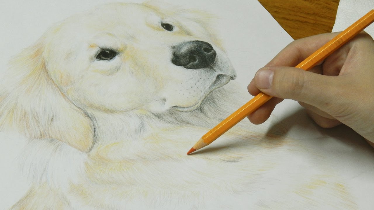 Vídeo de desenho de cachorro