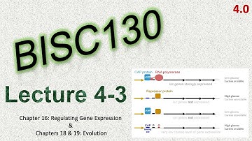 BISC130 - Recorded Lecture 4-3 (4.0)