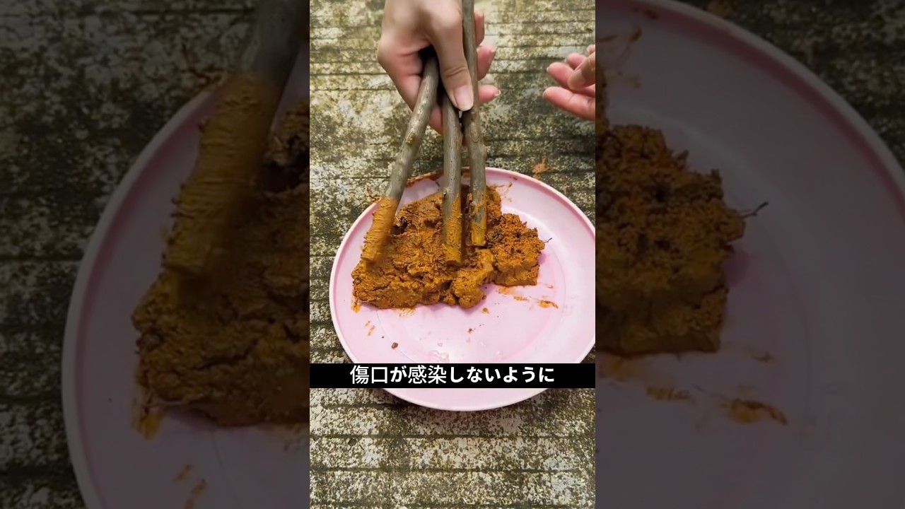 ブーゲンビリアは枝1本で増やせます｜簡単な挿し木の方法
