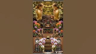 Bukit Berbunga flower Hill The Muppet Cover by The Phantom 13