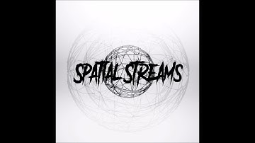 Spatial Streams  - ExpII