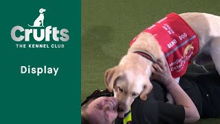 Medical Detection Dogs Display Part Two | Crufts 2023