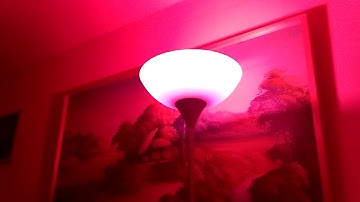 Yeelight test in Home Assistant