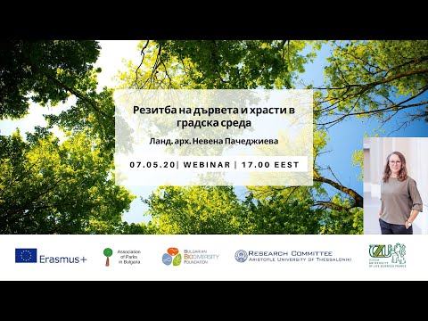 Видео: Време за резитба на дървета и храсти в студен климат