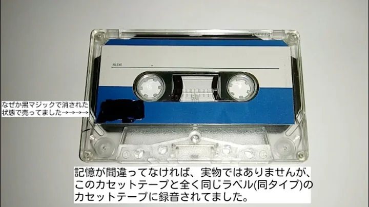 Fly Away: The lost Akiba Tape of Japan ~