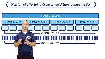 Macro, Meso and Micro Cycles | Training Periodisation With Mike Zourdos | The SBS Academy
