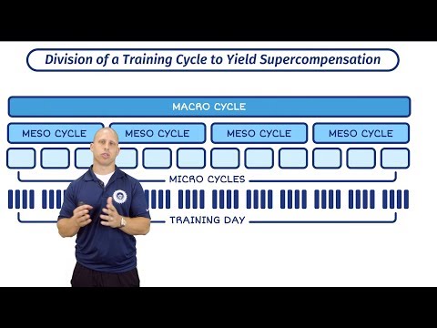 Macro, Meso and Micro Cycles | Training Periodisation With Mike Zourdos | The SBS Academy