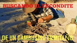 El tonel del gambusino, desde El Claro.