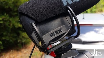 Ideanthro Ep 227 - Our new favourite bioretention system