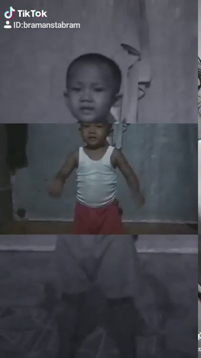 Tiktok goyang itik