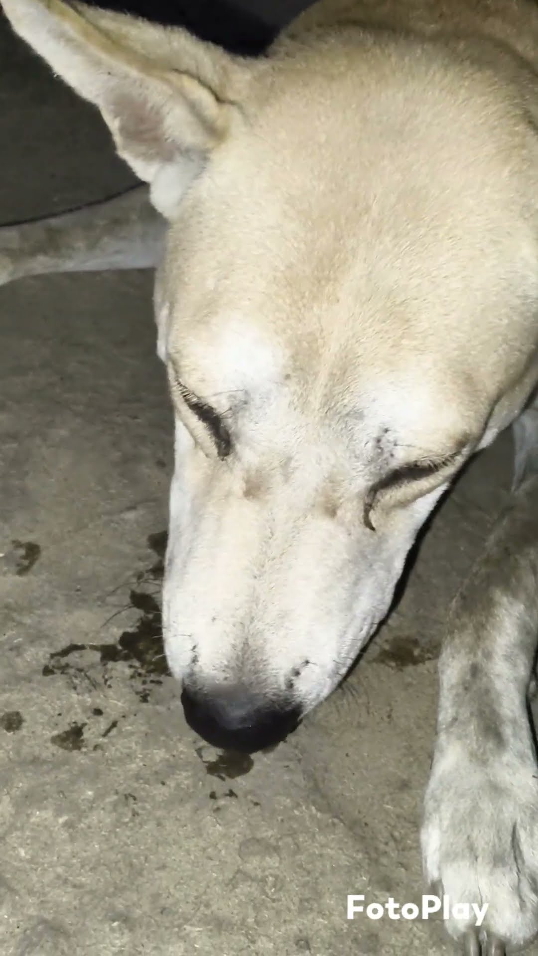 ✌️నేటి నా స్టేటస్ - ShareChat