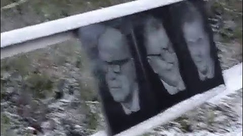 TATUE and FINLANDS PREDIDENTS